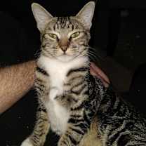 Thumbnail photo of Kaleigh #2