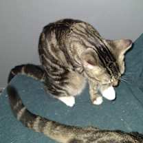 Thumbnail photo of Kaleigh #3