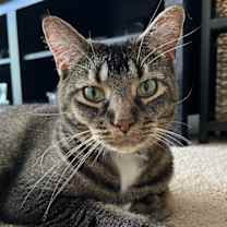 Thumbnail photo of Luna #1