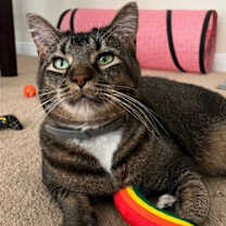 Thumbnail photo of Luna #2