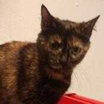 Thumbnail photo of JiJi #1