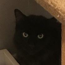 Thumbnail photo of Rod - Sponsored by Mariya G. #3