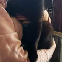 Thumbnail photo of Louie #1