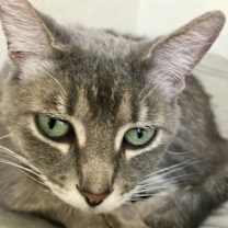 Thumbnail photo of Chloe Berlin #2