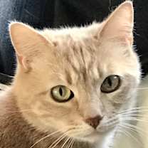 Thumbnail photo of Peter Pan #1