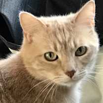 Thumbnail photo of Peter Pan #2