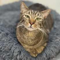 Thumbnail photo of Squirt #2