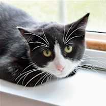 Thumbnail photo of Baby #3