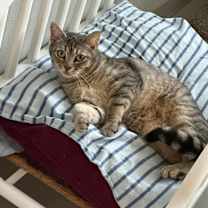 Thumbnail photo of Dakota #2