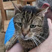Thumbnail photo of Mack #2