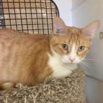 Thumbnail photo of Larry #1