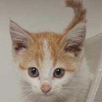 Thumbnail photo of Loretta #1