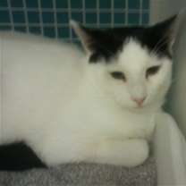 Thumbnail photo of Lonnie #2