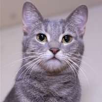 Thumbnail photo of Leah #1