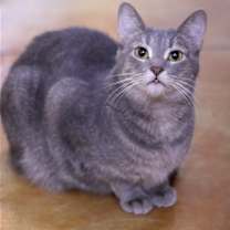 Thumbnail photo of Leah #2