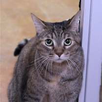 Thumbnail photo of Kate #3