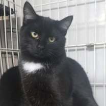 Thumbnail photo of Clancy #1