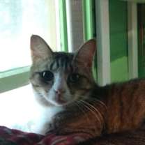 Thumbnail photo of Archer #1