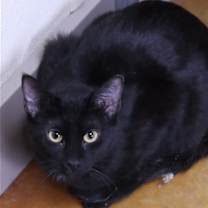 Thumbnail photo of Max #1