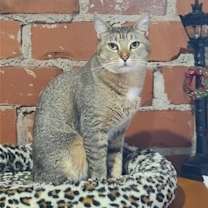 Thumbnail photo of Hazel Mae #4