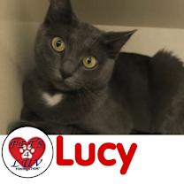 Thumbnail photo of Lucy - Bob #1