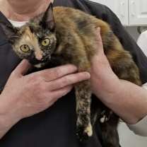 Thumbnail photo of SPOOKY #3