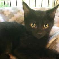 Thumbnail photo of Tasha #3
