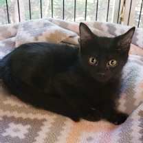 Thumbnail photo of Tasha #4