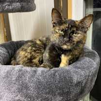 Thumbnail photo of Ruby #1