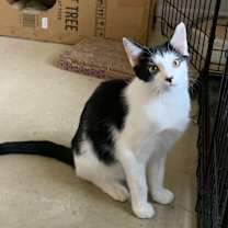 Thumbnail photo of Root Beer #2