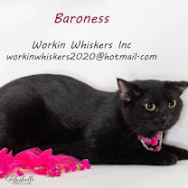 Thumbnail photo of BARONESS #1