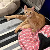 Thumbnail photo of Olympian #1