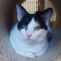 Thumbnail photo of Penelope #1