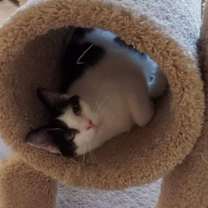 Thumbnail photo of Penelope #2