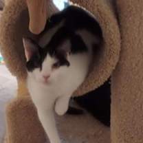 Thumbnail photo of Penelope #3