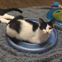 Thumbnail photo of Penelope #4