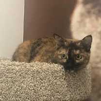 Thumbnail photo of Auburn #3