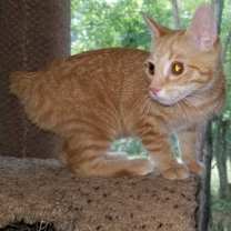 Thumbnail photo of MOXIE #1