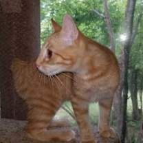 Thumbnail photo of MOXIE #2