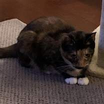 Thumbnail photo of Rudy #1