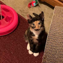 Thumbnail photo of Rudy #3