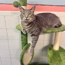 Thumbnail photo of Avalon #2