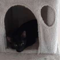 Thumbnail photo of Jax #2