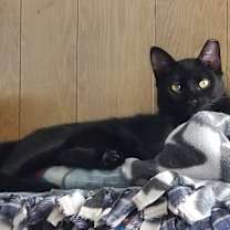 Thumbnail photo of John #2