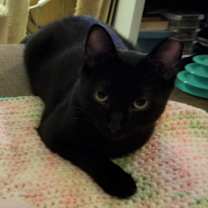 Thumbnail photo of John #3