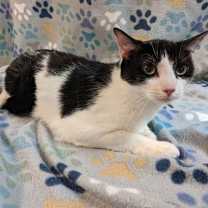 Thumbnail photo of Tyler #2