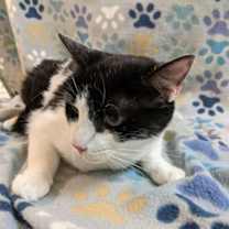 Thumbnail photo of Tyler #3