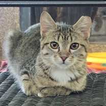Thumbnail photo of Meredith #1
