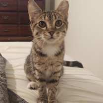 Thumbnail photo of Meredith #2