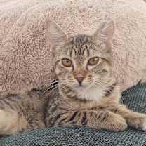 Thumbnail photo of Meredith #3